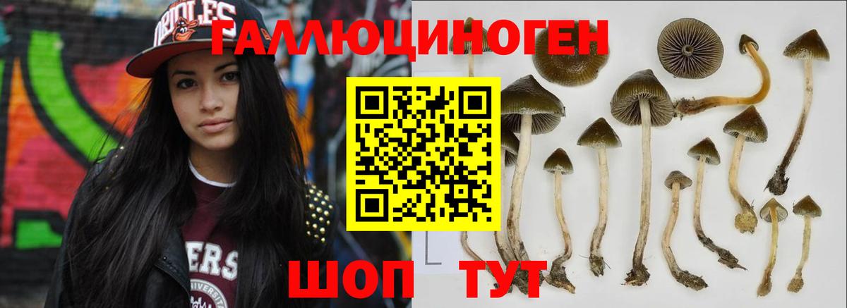 где найти   Псилоцибиновые грибы Magic Shrooms  Вход с VPN  Дубна 
